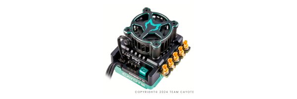 Elektronik