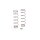Rear Springs Green 2.2lb/in - Storm ST (pr)