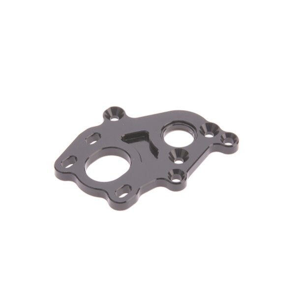 Alloy Motor Plate - LD3D