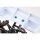 Revolution Design Buggy Wing Button (light blue)