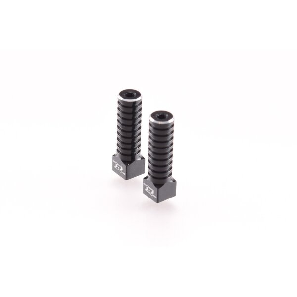 Revolution Design XB2 Aluminium Battery Post Set (black)