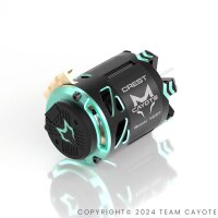 CREST 1/10 Stocki Motor 10.5T CAYOTE