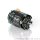 CREST 1/10 Stocki Motor 21.5T CAYOTE