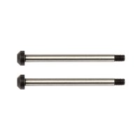 Team Associated RC10B74 Rear Hub Hinge Pins