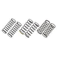 Team Associated FT 10 mm Rear Spring Set